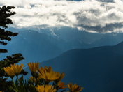Mount Rainier National Park