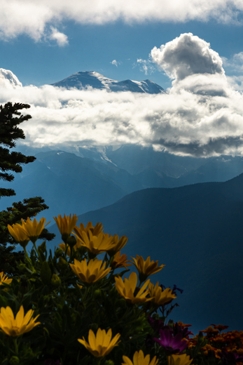Mount Rainier National Park