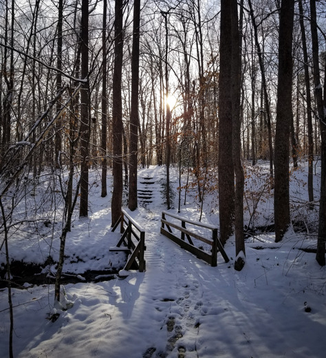 Prince William Forest Park