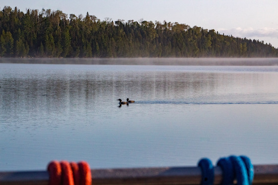 Isle Royale National Park