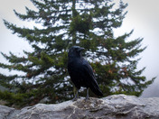 Smoky Mountains National Park