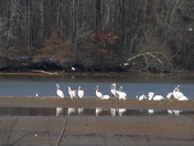 Wheeler National Wildlife Refuge