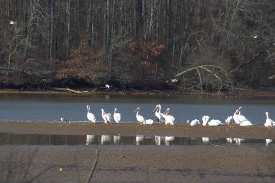 Wheeler National Wildlife Refuge