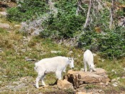 Glacier National Park