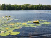 Voyageurs National Park