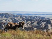 Badlands National Park
