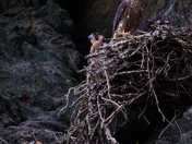Chesapeake & Ohio Canal