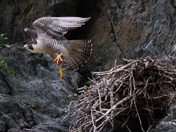 Chesapeake & Ohio Canal National Historical Park