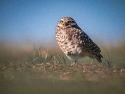 Badlands National Park