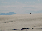 White Sands National Park