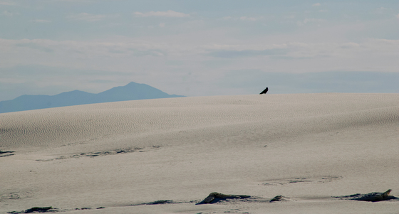 White Sands National Park