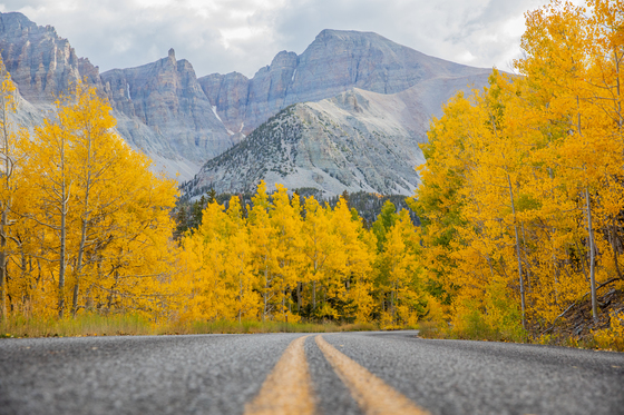 Great Basin National Park