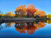 Acadia National Park