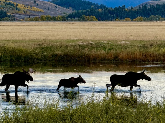 Grand Teton National Park