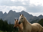 Bridger-Teton National Forest