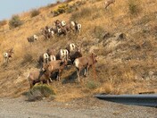 Lake Chelan National Recreation Area