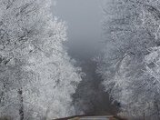 Great Smoky Mountains National Park Tennessee
