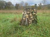 Great Smoky Mountains National Park Tennessee