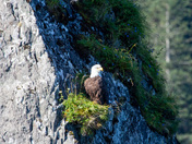 Kenai Fjords National Park
