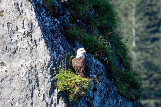 Kenai Fjords National Park