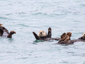 Kenai Fjords National Park