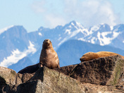 Kenai Fjords National Park