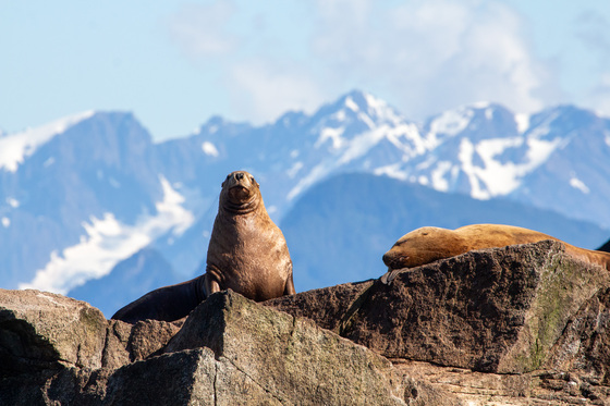 Kenai Fjords National Park