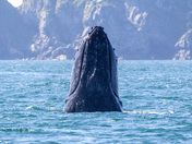 Kenai Fjords National Park