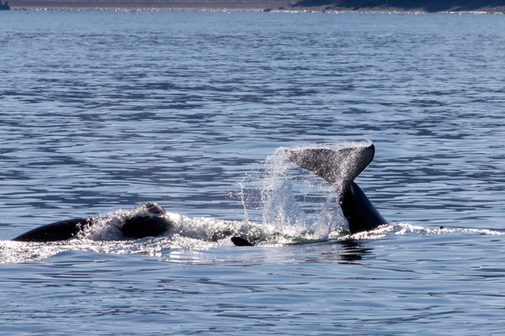 Kenai Fjords National Park