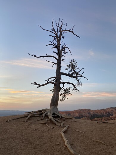 Bryce Canyon National Park