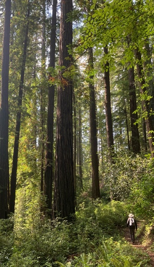 Headwaters Forest Preserve