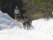 Superior National Forest