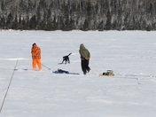 Superior National Forest