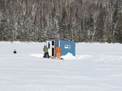 Superior National Forest