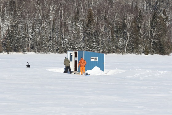 Superior National Forest