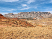 Bighorn National Forest
