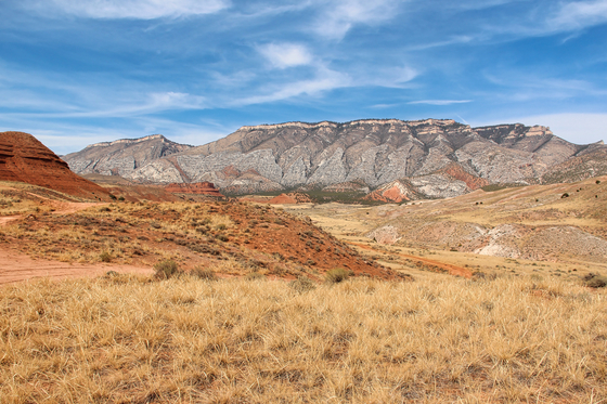 Bighorn National Forest