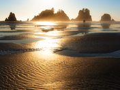 Olympic National Park