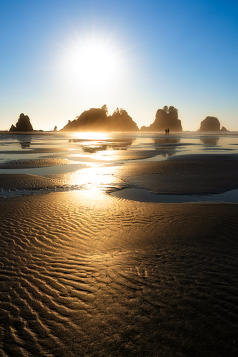 Olympic National Park