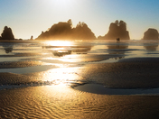 Olympic National Park 