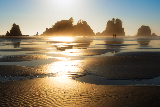 Olympic National Park 