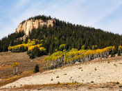 Bighorn National Forest