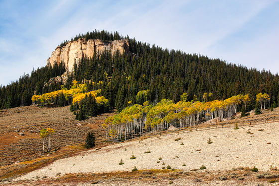 Bighorn National Forest