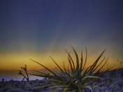 Death Valley National Park