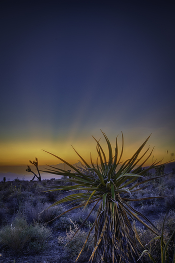 Death Valley National Park