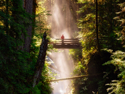 Olympic National Park 