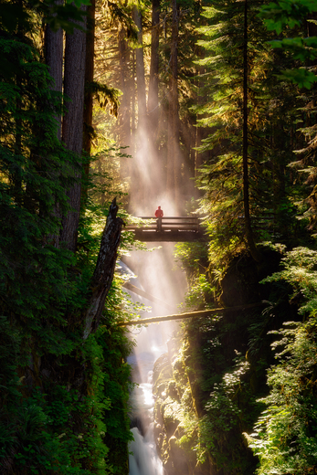 Olympic National Park 