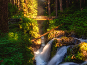 Olympic National Park 