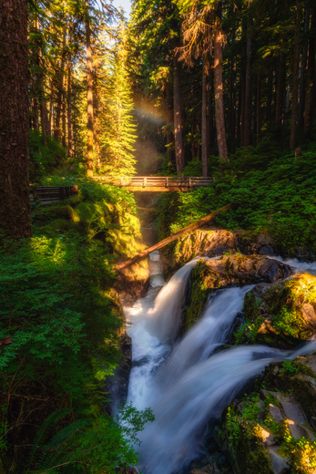 Olympic National Park 