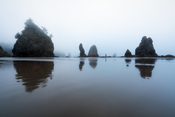 Olympic National Park